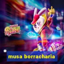 musa borracharia